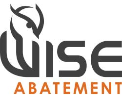 Wise Abatement logo
