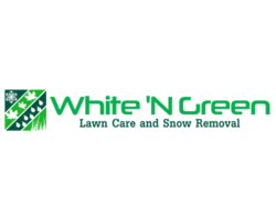 White & Green LTD logo