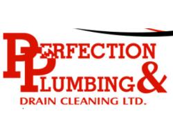 Perfection Plumbing & Drain Cleaning Ltd. logo