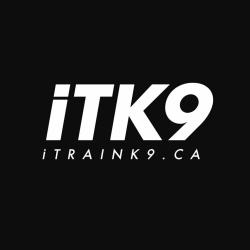 iTrainK9 Dog Training logo