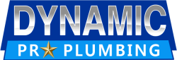 Dynamic Plumbing logo