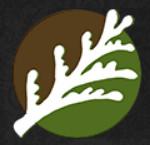 Accurate Cedar logo