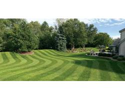 Carter Bros Lawn & Garden  