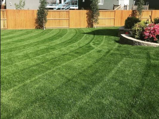 Prairie Sky Lawn Care photo