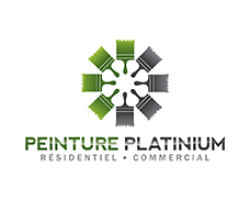 Peinture Platinium logo