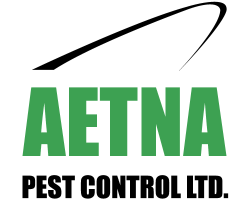 Aetna Pest Control logo