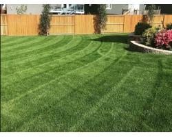 Prairie Sky Lawn Care  