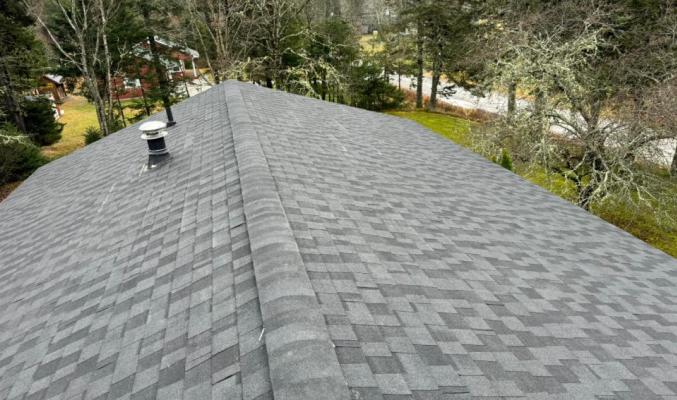 Roy Swazeys Roofing photo