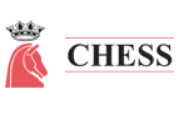 Chess Security Group logo