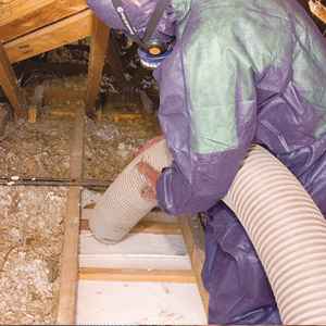 Mold Removal & Vermiculite Removal Services EcoRenov photo 3