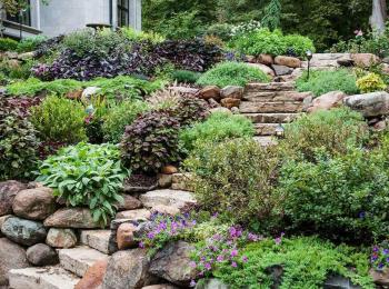 Perfect View Renovation photo