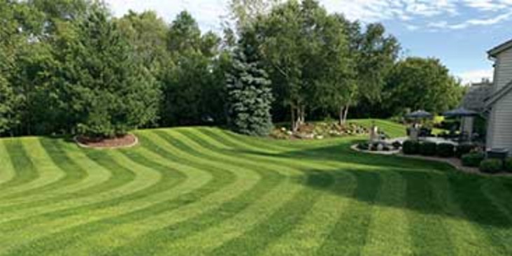 Carter Bros Lawn & Garden photo