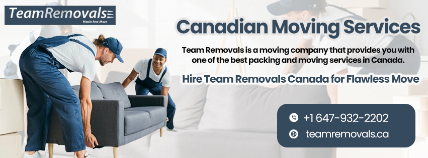 Team Removals photo