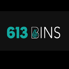 613 Bins logo