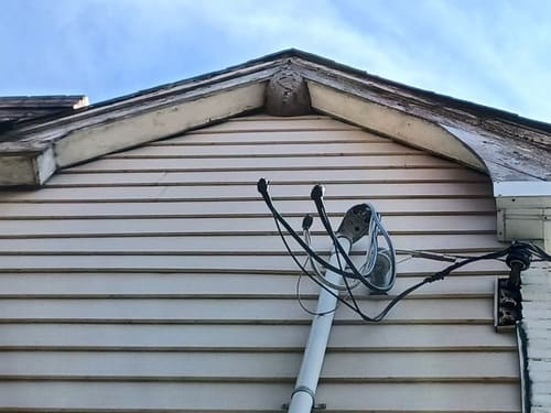 Guard More Pest Control photo 6