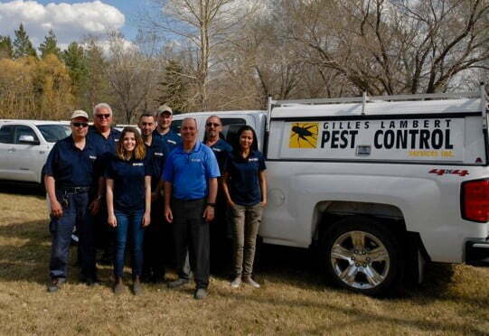Gilles Lambert Pest Control Services Inc photo